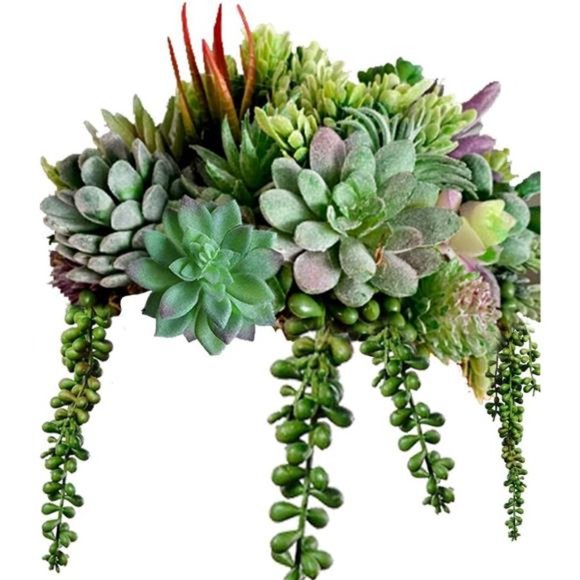 16 Pack Artificial Succulent Create Realistic Succulent Flocking Plants Unpotted - Picture 1 of 6